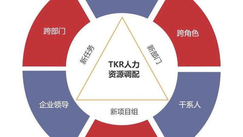 劳务派遣定制化解决方案：企业用工合规的明智之选